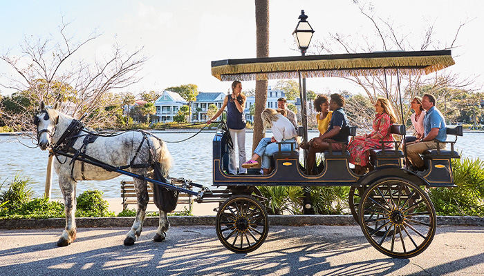 Horse-drawn carriage tour outside of historic Colonial Lake, as seen on the best tour of Charleston, South Carolina by Palmetto Carriage Works.
