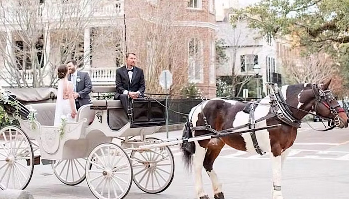 Palmetto Carriage Works Horse-drawn wedding carriage in beautiful Charleston South Carolina.