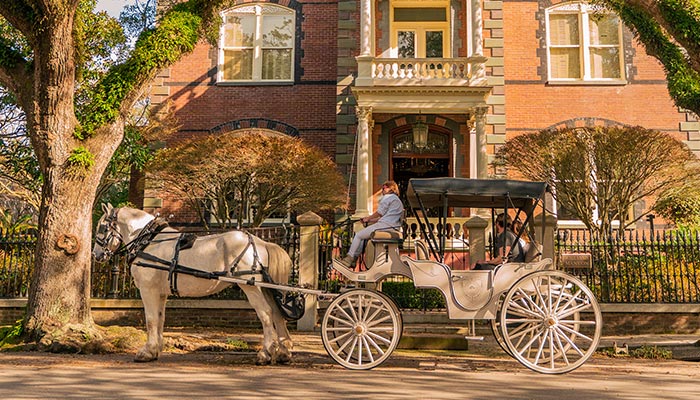 Couple enjoys a private Palmetto Carriage Works horse drawn ride tour of Charleston, SC