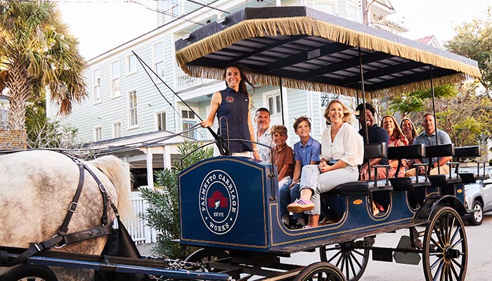 Palmetto horse carriage hot sale tours