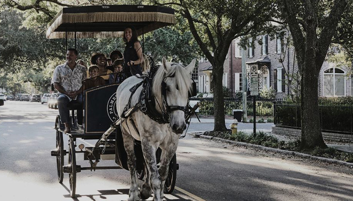 A Haunted Tour of Charleston on horse and carriage, telling ghost stories from charleston's historic icons.