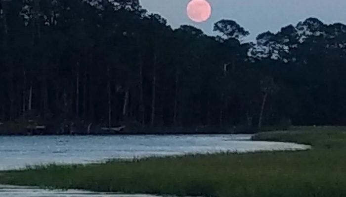 Moonlight tour cruise in Charleston.