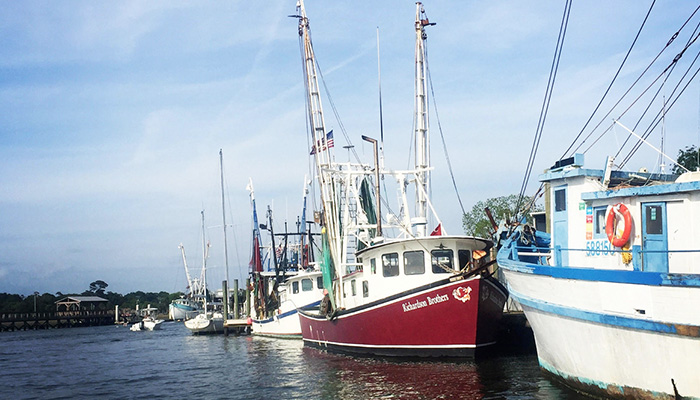 Shem Creek tour is another great Charleston attraction