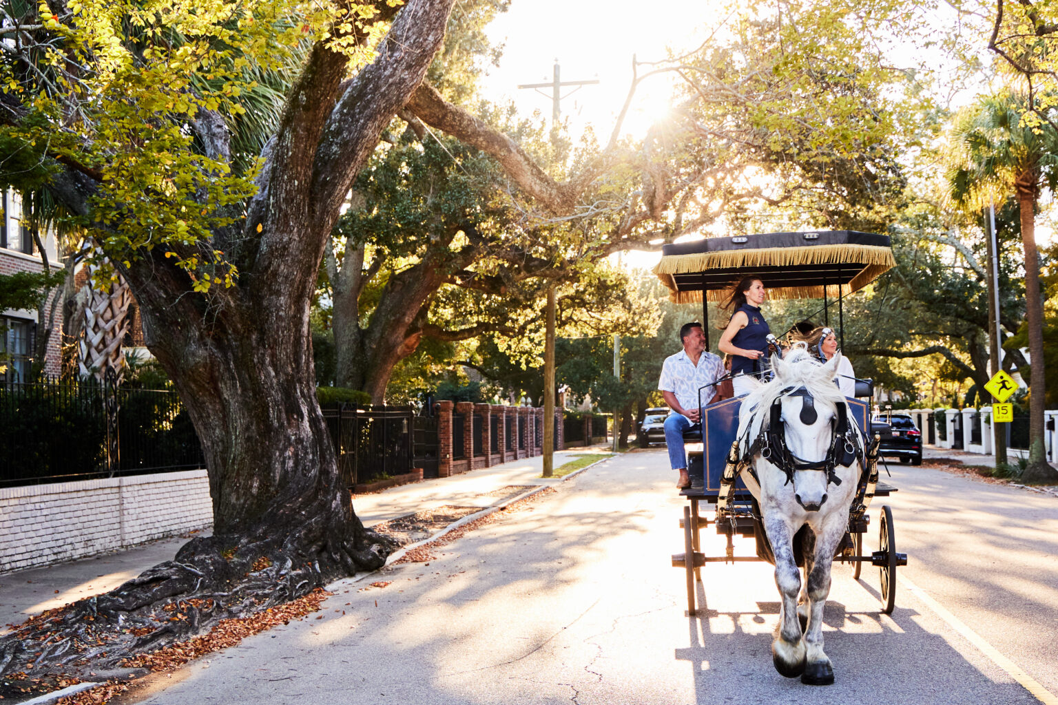 Top Charleston Carriage Tours by Palmetto Carriage Works